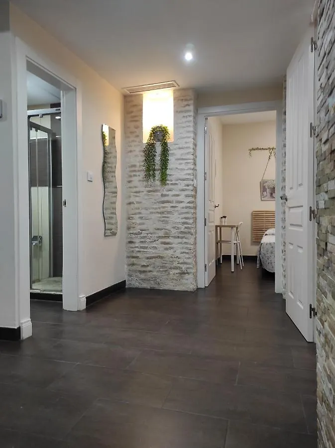 Casa Viriato Home Séville Appartement
